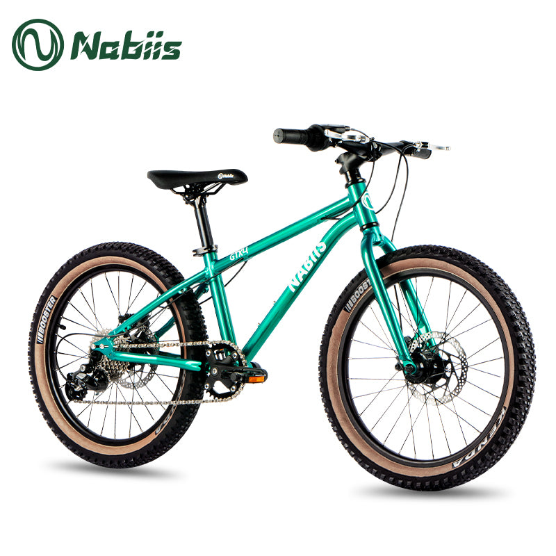 Nabiis Pro 20 越野款